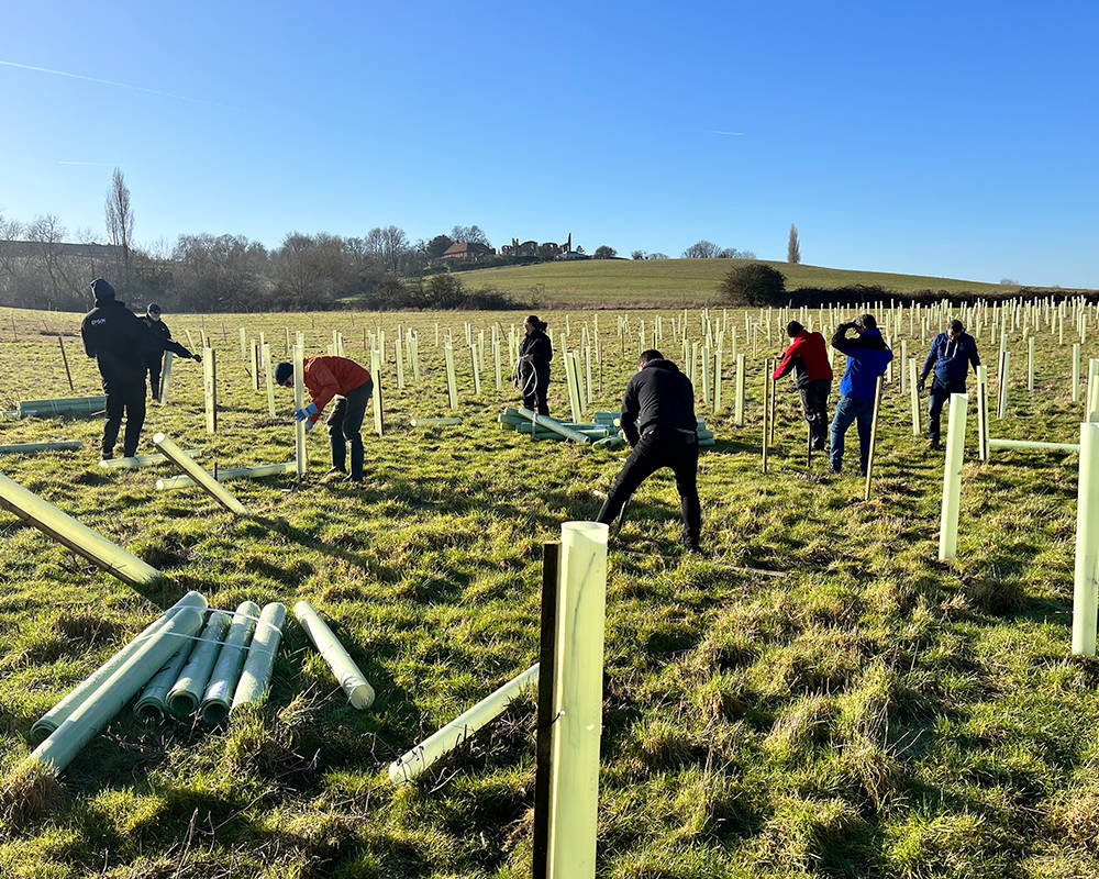 ERS and Epson tree planting at Forest of Marston Vale Feb 2023