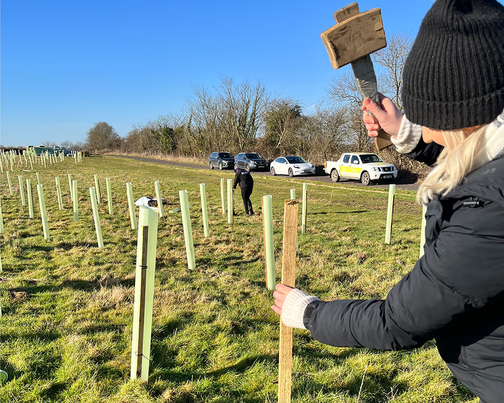 Emily from ERS tree planting at Forest of Marston Vale