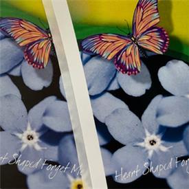 Example of dye ink vs pigment ink labels.