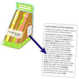 Food Allergen and Ingredient Labelling Starter Kit