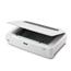 Image of Epson Expression 13000XL A3 Graphics Document Scanner