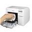 Image of Epson C3500 GHS Label Printer