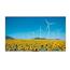 Hisense DP30FE Digital Signage DP Series