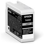Image of C13T46S900